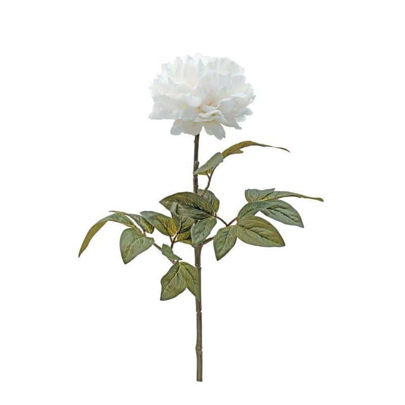 Pivoine blanche artificiel fleuriste Pivoine blanche artificiel fleuriste