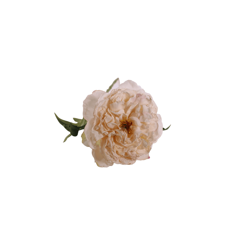 Pivoine 3 coloris artificielle fleuriste Pivoine 3 coloris artificielle fleuriste