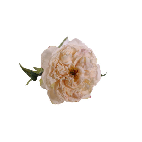Pivoine 3 coloris artificielle fleuriste