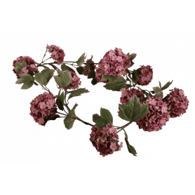 Chute Hortensia Izia