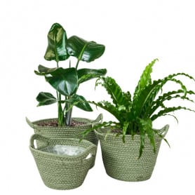 Set de 3 coupes rondes en corde - Grossiste fleuriste déco tendance