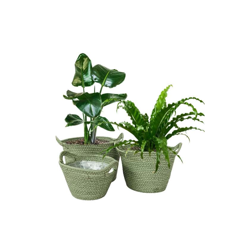 Set de 3 coupes rondes en corde - Grossiste fleuriste déco tendance