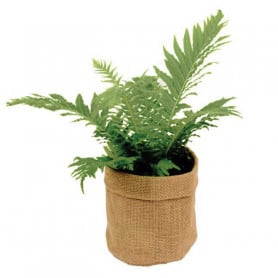 cache pot de fleurs rond en jute Quebec - grossiste fleuriste