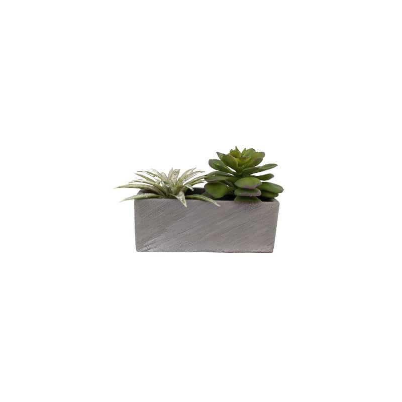 Coupe rectangulaire ciment 18 x H. 7 CM - Cynthya