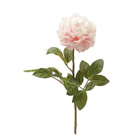 Pivoine blanche artificiel fleuriste
