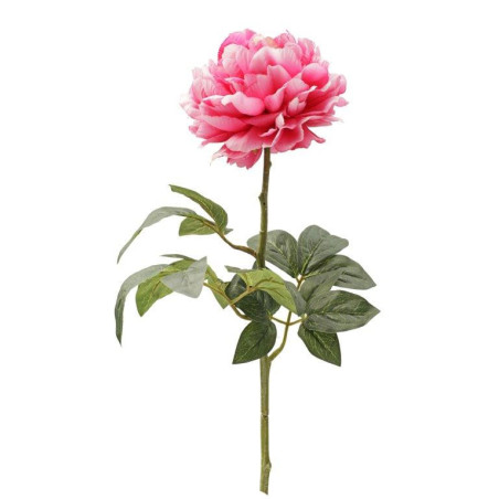 Pivoine blanche artificiel fleuriste