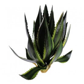 Succulente agave 42cm