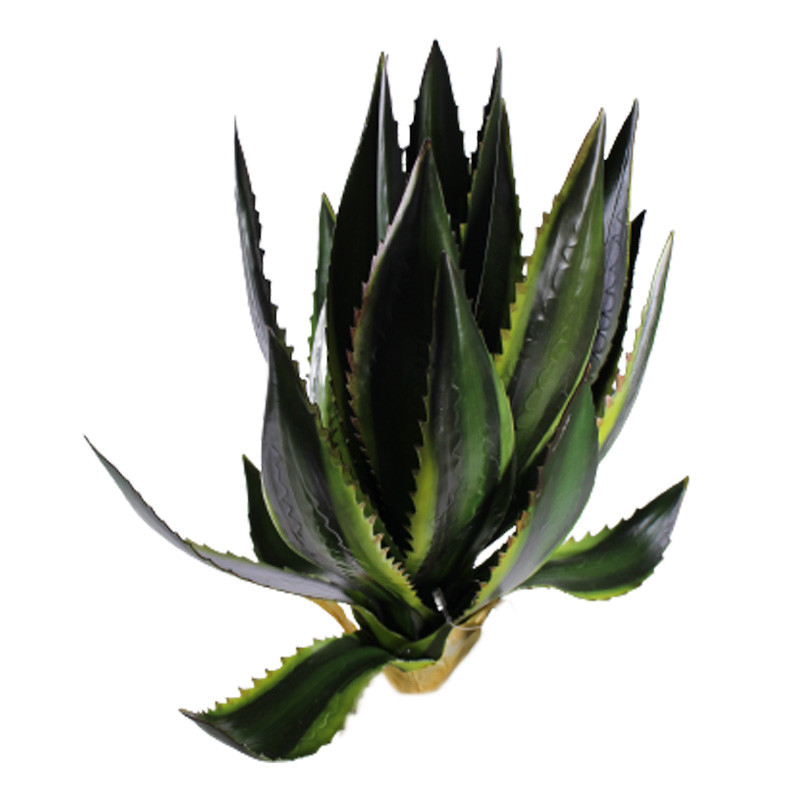Succulente agave artificielle fleuriste