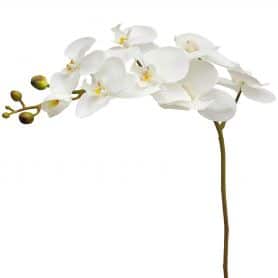 Phalaeno artificel 8 fleurs 100cm - Nevag