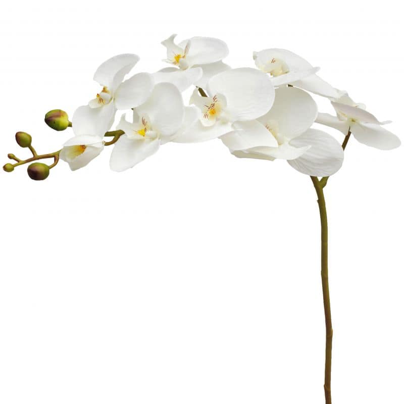Phalaeno artificel 8 fleurs 100cm - Nevag Phalaeno artificel 8 fleurs 100cm - Nevag