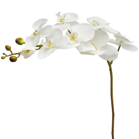 Phalaeno artificel 8 fleurs 100cm - Nevag