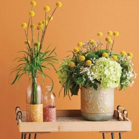 Soliflore haut type bouteille - Grossiste fleuriste décoration design