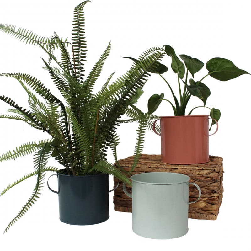 Cache-pot rond en zinc anses - Grossiste fleuriste décoration mariage Cache-pot rond en zinc anses - Grossiste fleuriste décoration mariage