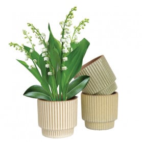 Pots ronds ciment assortis...