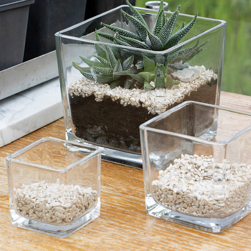 Vase cube en verre pour composition florale  - matériel fleuriste