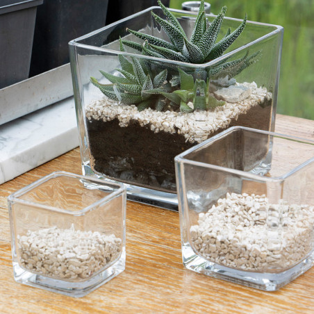 Vase cube en verre pour composition florale  - matériel fleuriste