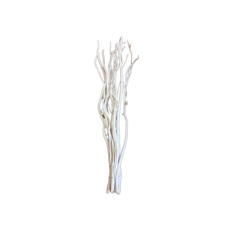 10 branches de Salix - Grossiste fleuriste décoration tendance design