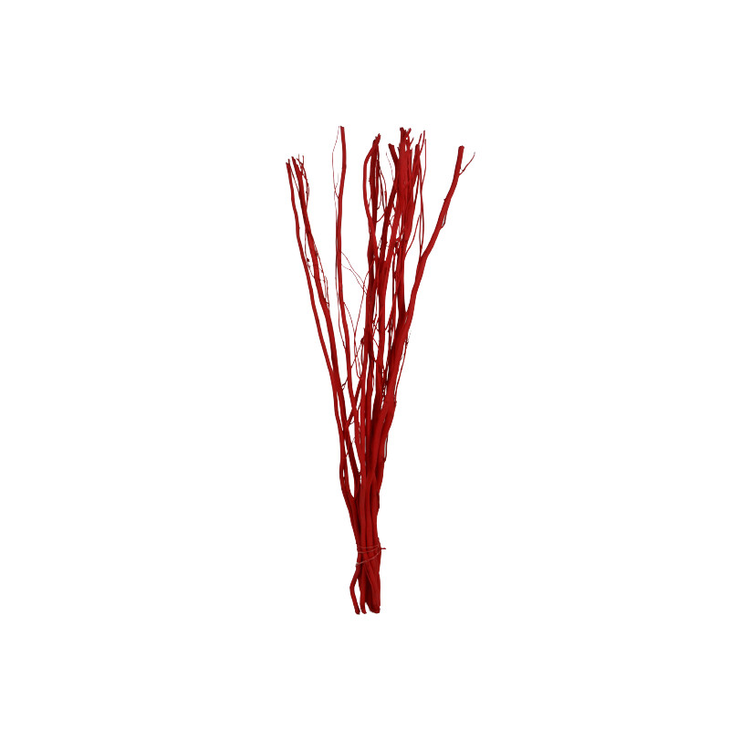 10 branches de Salix - Grossiste fleuriste décoration tendance design
