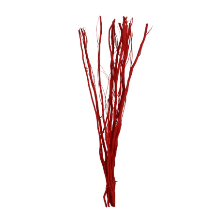 10 branches de Salix - Grossiste fleuriste décoration tendance design