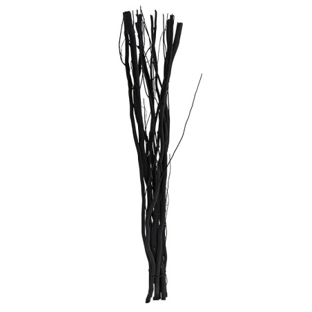 10 branches de Salix - Grossiste fleuriste décoration tendance design