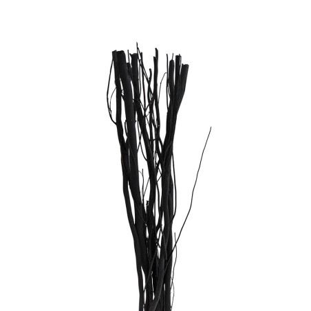 10 branches de Salix - Grossiste fleuriste décoration tendance design
