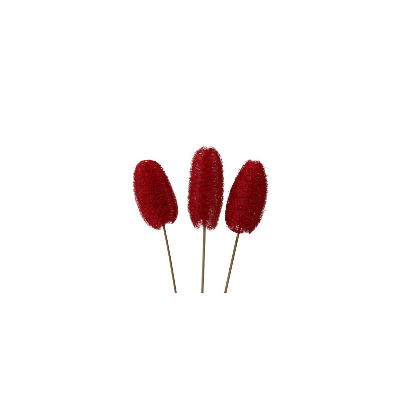 Luffa tiges - Walky