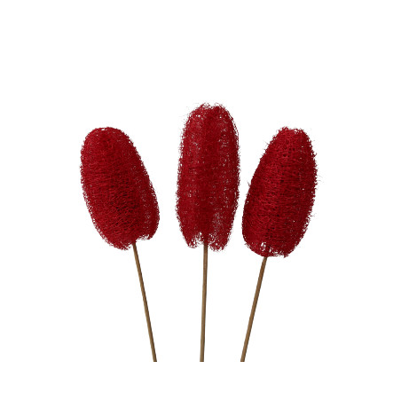 Luffa tiges - Walky