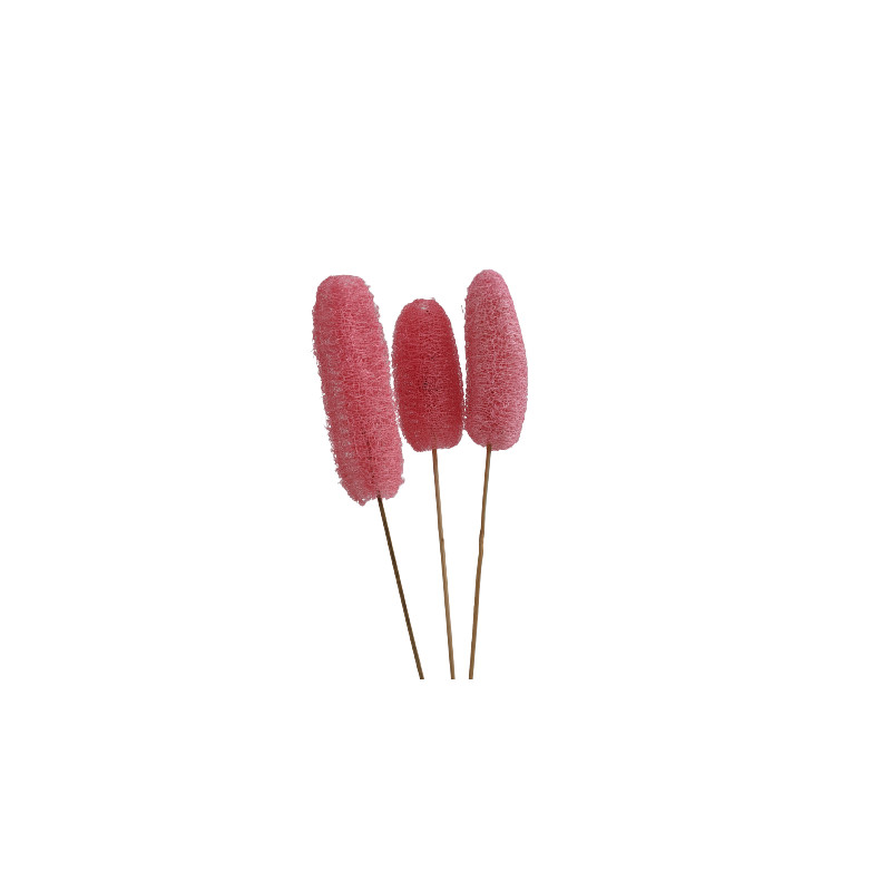 Luffa tiges - Walky