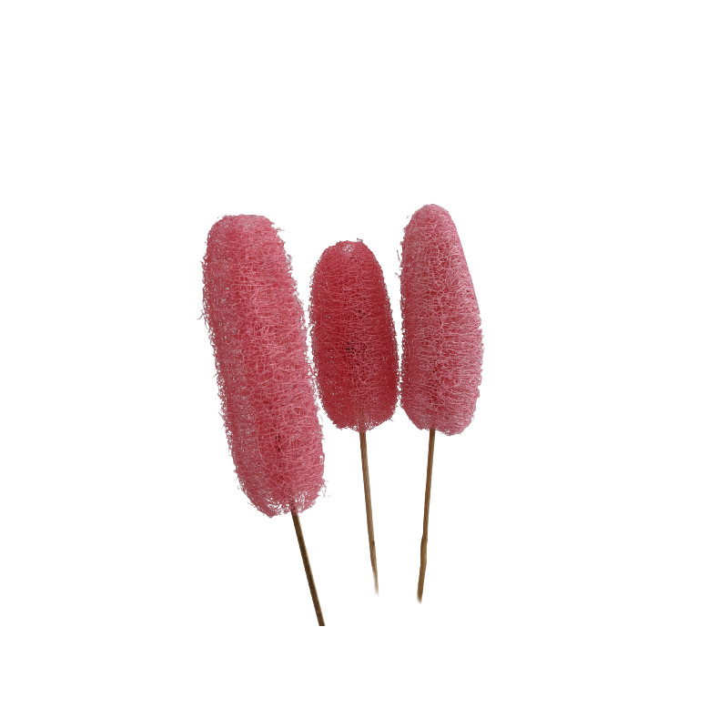 Luffa tiges - Walky