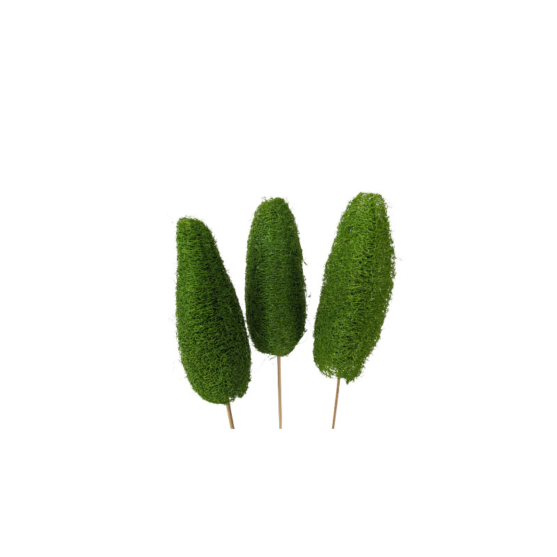 Luffa tiges - Walky