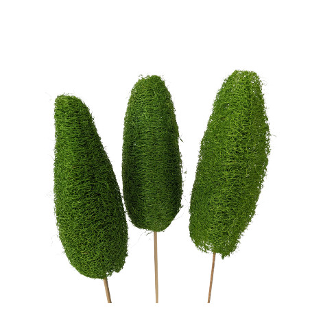Luffa tiges - Walky