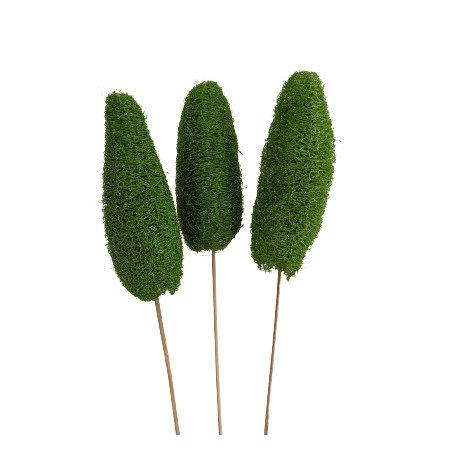 Luffa tiges - Walky