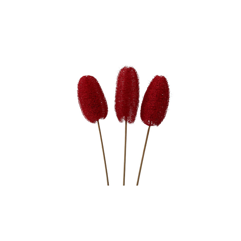 Luffa tiges - Walky