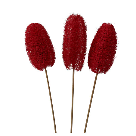 Luffa tiges - Walky