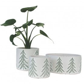Coupe / pot ciment motif sapin Renaud Distribution