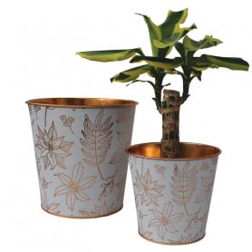 Pot zinc motifs contenant grossiste fleuriste
