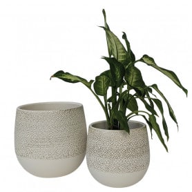 Cache pot contenant céramique grossiste fleuriste renaud Distribution