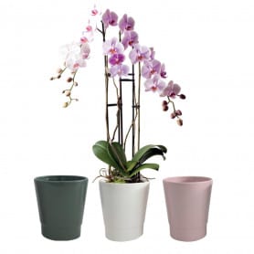 Pot orchidee assorti D. 13,5 x H. 16,5 cm