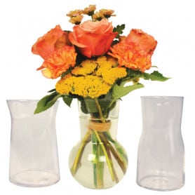Assortiment vases transparent contenant fleuriste  Renaud Distribution