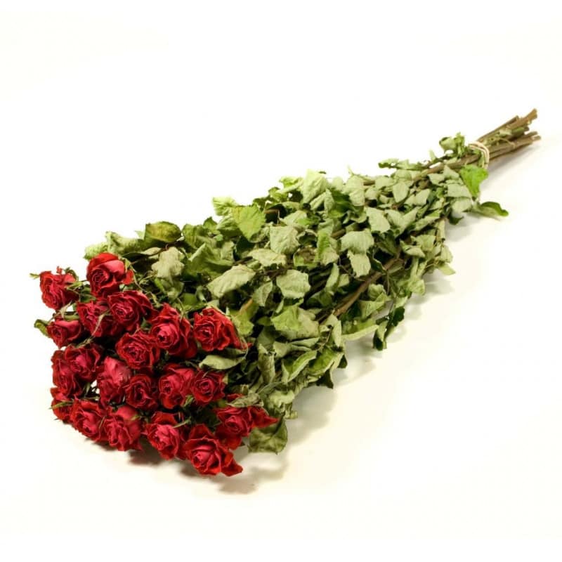 Botte roses séchées sec naturel décoration fleuriste