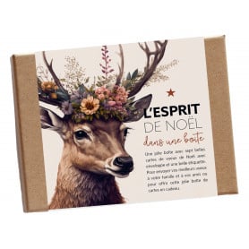 Coffret cartes "Joyeuses fêtes" noël grossiste fleuriste