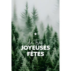 Coffret cartes "Joyeuses fêtes" noël grossiste fleuriste