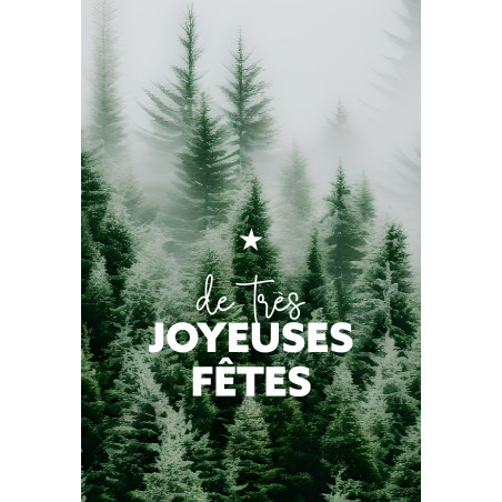 Coffret cartes "Joyeuses fêtes" noël grossiste fleuriste