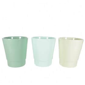 Pots phalaeno Alessos - plusieurs couleurs - grossiste fleuriste