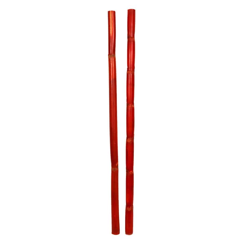 Paquet de 10 Canna stiele 1M 3 couleurs - Bambou - Décoration - Grossiste