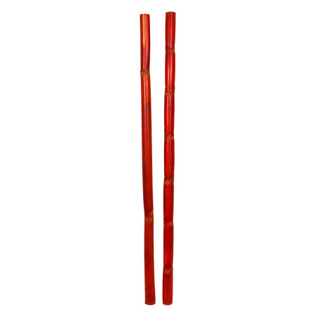 Paquet de 10 Canna stiele 1M 3 couleurs - Bambou - Décoration - Grossiste