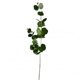 Branche d'Eucalyptus Grossiste plantes artificielles