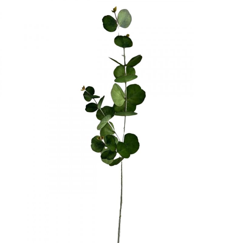Branche d'Eucalyptus Grossiste plantes artificielles Branche d'Eucalyptus Grossiste plantes artificielles