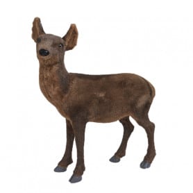 Biche Bambino