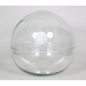Vase boule en verre - Contenant - Grossiste fleuriste - Fournisseur Fleuriste - Renaud Distribution